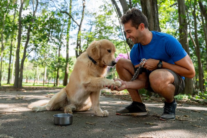 Dog handshaking with a pet owner