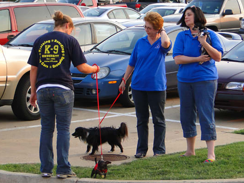 K-9 University rescue event